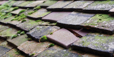Westcott roof repair costs